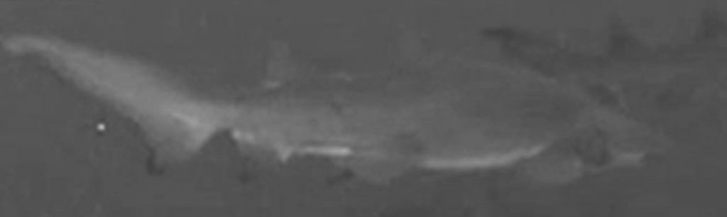 921a6e68-326b-49e5-9efb-b9c4cb75dae6