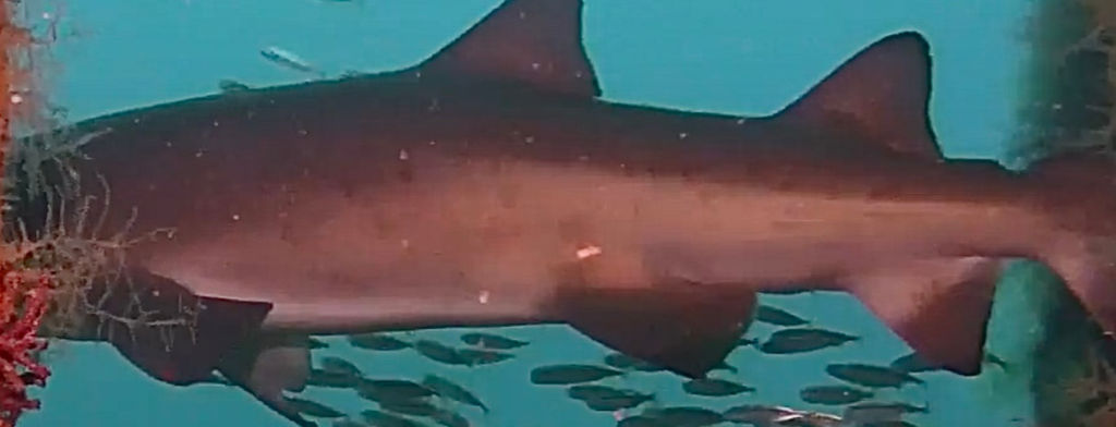 843800a2-b789-47f0-9478-34d438bdf24f