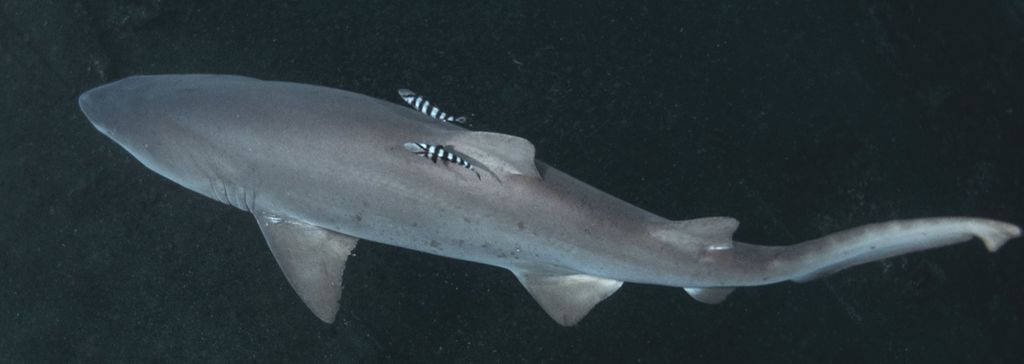 edd7cac7-7660-4173-986c-e40c32a0fc0a