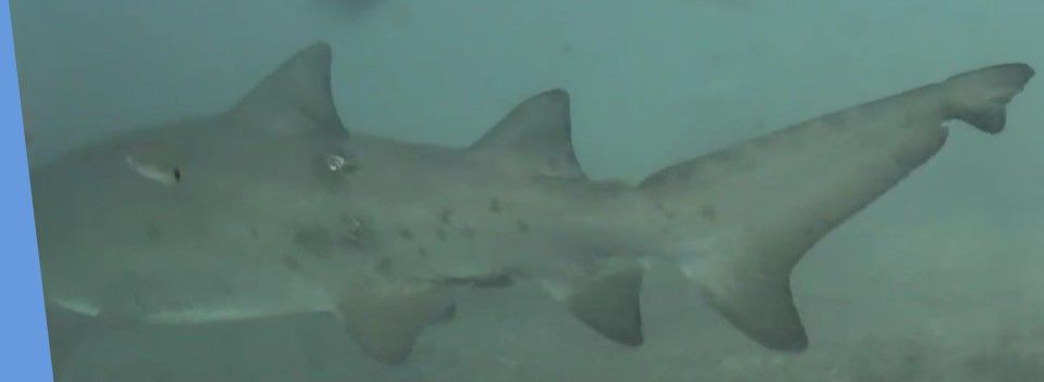 a4408b9b-cf05-4d7b-9dfc-043e81d67ab5