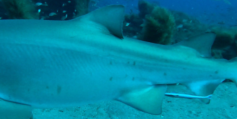 5d60d141-c59b-42ae-a407-68f4d980c04c