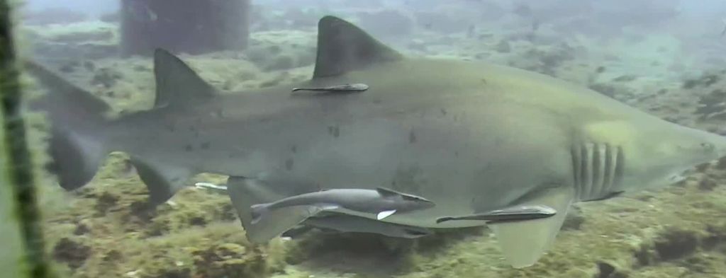 b7c4b156-56f5-49d4-9692-4237985f4750