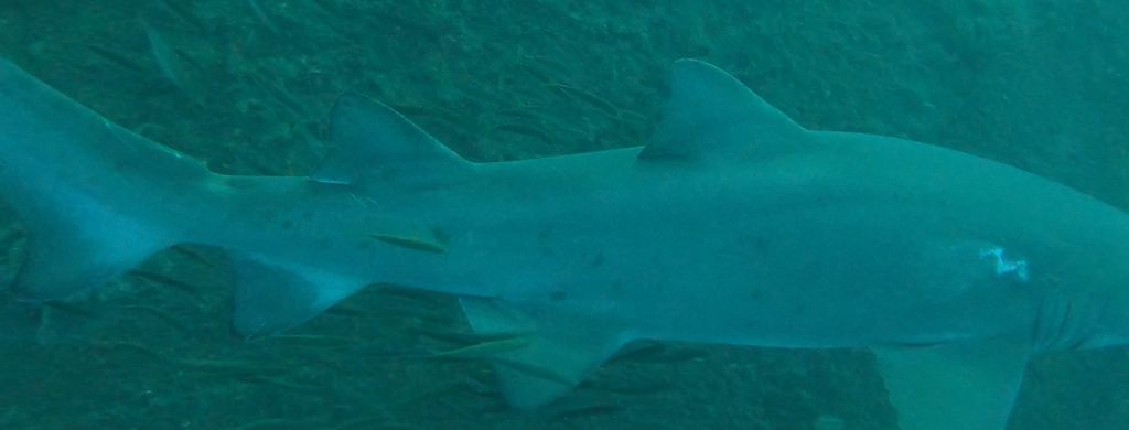 bdb3771b-fd5d-443f-b899-e124219ebd69