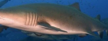 c6a6cfd9-1d94-427c-8a20-801503cb9f00