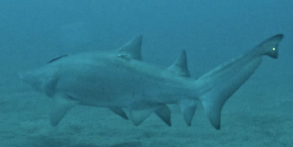 62b6c160-0666-4726-ad24-021eb5d47378