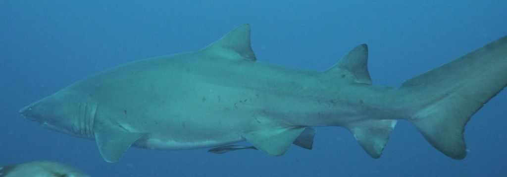 2a8f7acb-50ed-4314-8274-4b3ac3834690