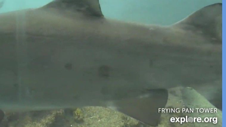 fc92307d-fa86-4a1c-b5d9-a3fb4f4dba21