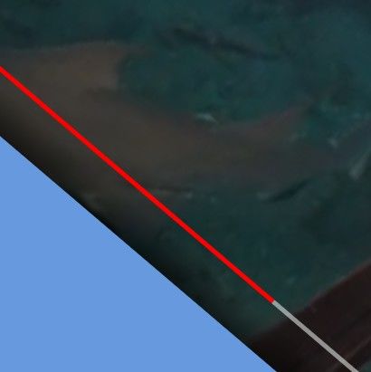 17257f21-7632-4283-b75f-bb1ecf3a0b49