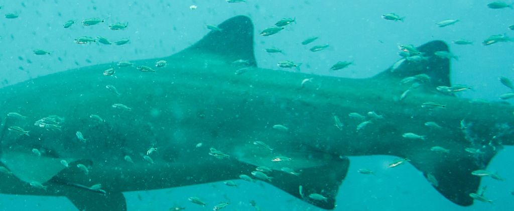 ce0b1611-d392-433b-aeb9-1c71d1ca54e6