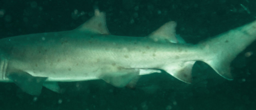 eb803ca8-2f4e-4c47-98e2-e75de705ca77