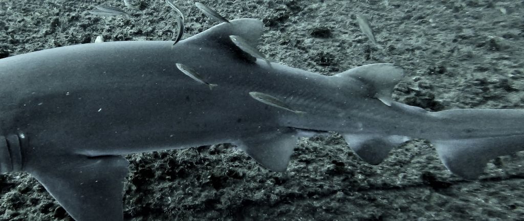 116aeeb4-32ff-4812-aaf6-f45ba8ffdf76