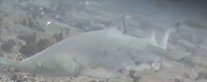 c0257a5b-5122-4bda-9038-8354c013387d