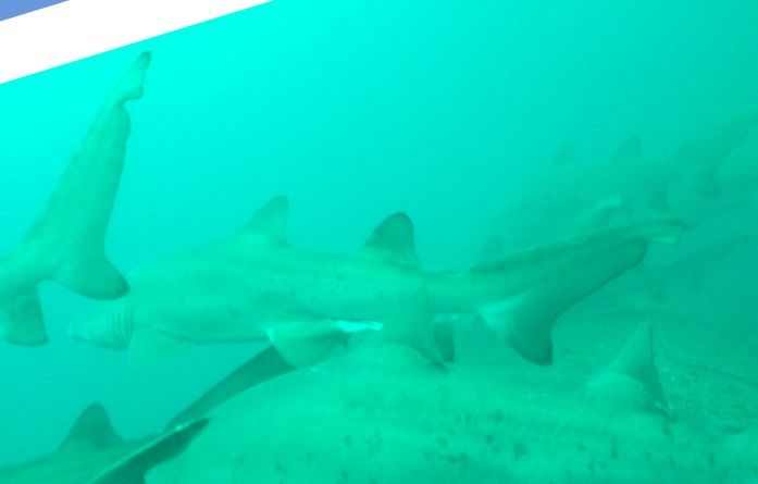 0f82524c-e646-405a-9d69-9aadd3981c35