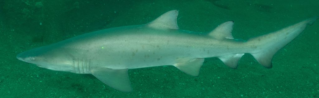 53c1dee7-6b0c-4c4f-9804-356723c9efb3