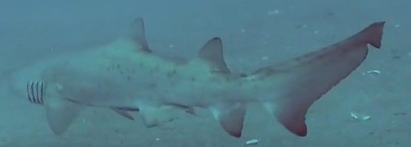 d8bd4005-3485-4417-90fc-48d88b6d25b9