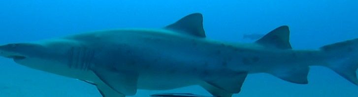 fdbdac00-6a54-4a29-99aa-5ae94d472720