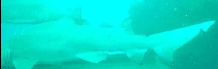 7a1dc81d-475b-4c6c-9627-fa44cf1bf8b6