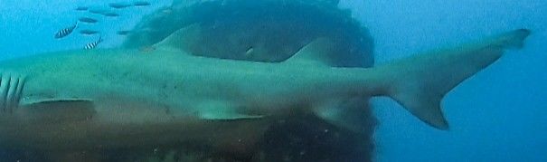 0627800a-179c-40b9-a4ff-76a0602a36c6