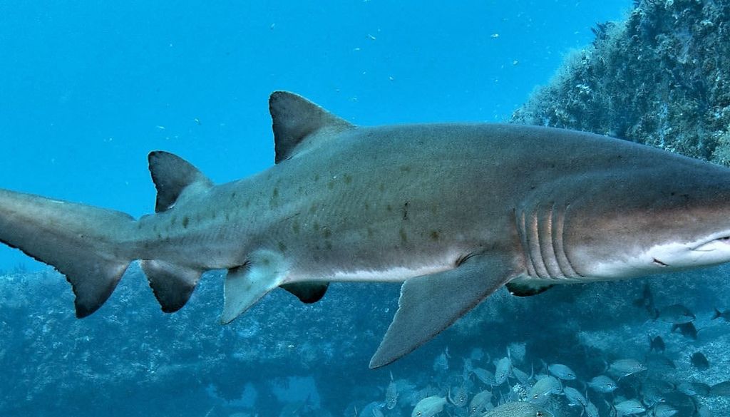 85646f69-538e-45ef-a8fb-d0aaca21b494