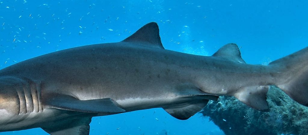 85646f69-538e-45ef-a8fb-d0aaca21b494