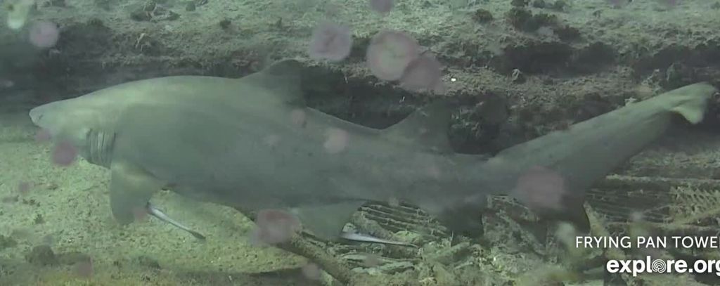 8bee6e83-ae67-46b9-8818-a4fb17411231