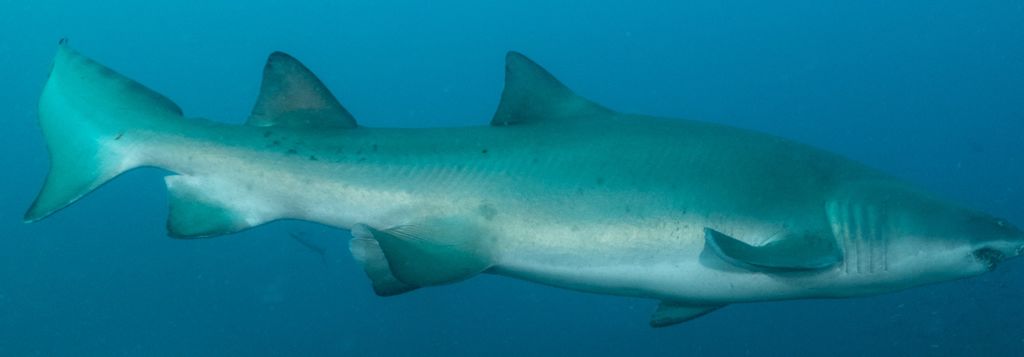 3a129dec-2961-479e-96b8-b2fa84edf999