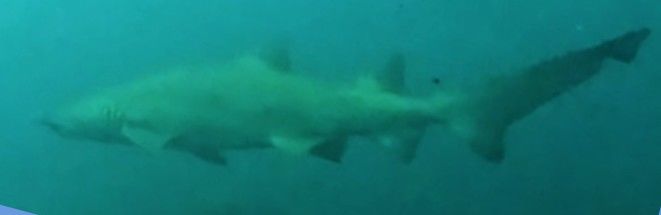 f16caf09-99ad-4d93-a541-194f1528833d