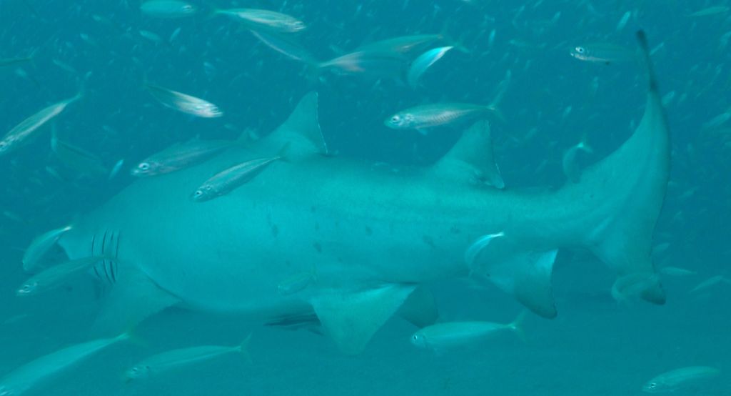 b79c415b-3904-47d3-a129-5565031df44a