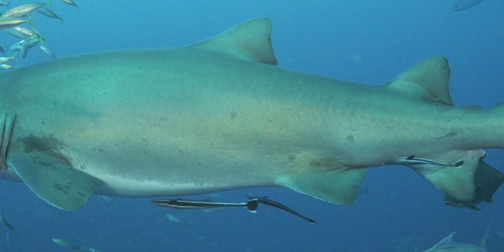 b5b44c2d-b3aa-4423-8271-3e9d8d2dff29