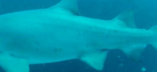 4d2f744b-3724-408d-ba87-c427339cd41e