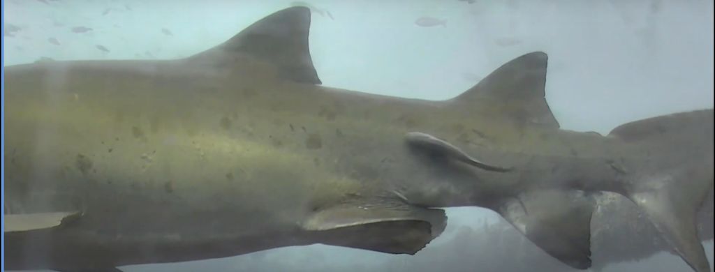 92f897fd-2159-4ef1-a418-1c2ccdb1f28c