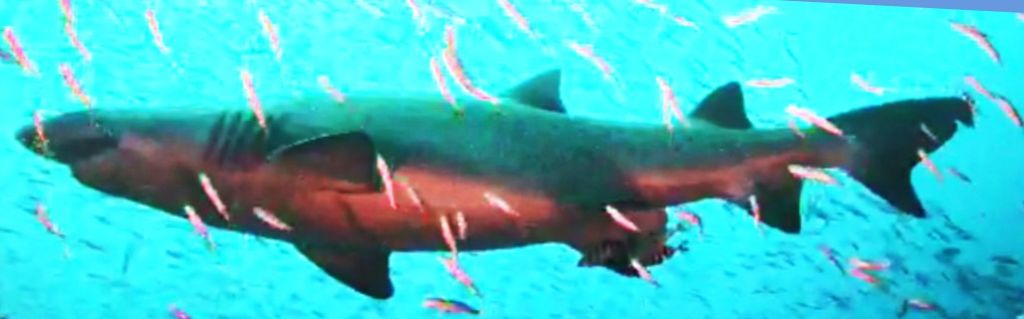 57fa701f-96bf-402a-8987-30023c52e7b9