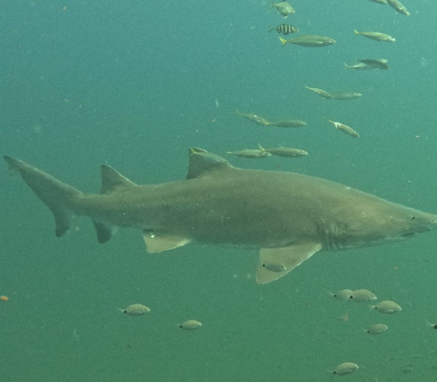 c7d95002-44ba-461c-bda0-75b393ff49d2