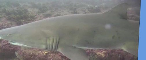 4115291b-3551-4d51-b70c-1290136c3cd6