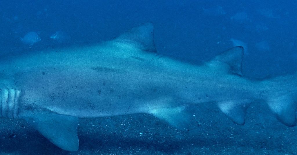 80287367-2ca5-4281-8413-84bb96cc05fb