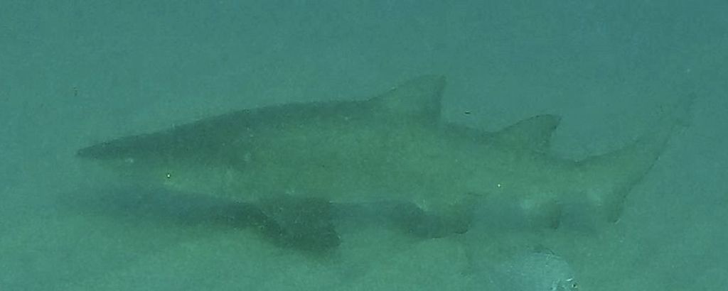 7da46cf9-f5c1-44b6-a8a6-ea1a3443d863