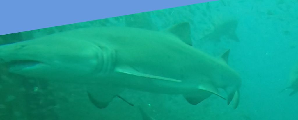 0f6763d0-8a6f-417b-a93d-58d0e7c76257