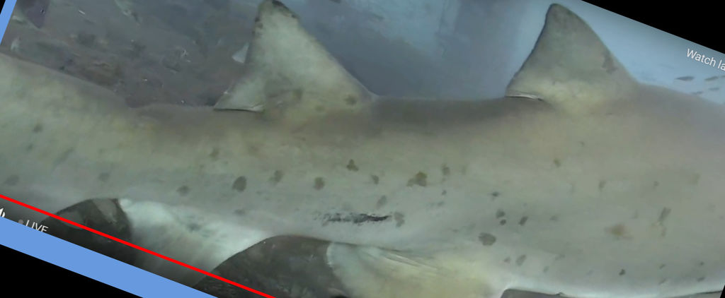 f72a0f88-c18d-4d86-a9b5-49986ac41467