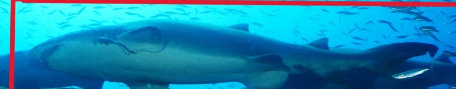 23d05618-bb09-4138-89e6-df5aa6d47fc0