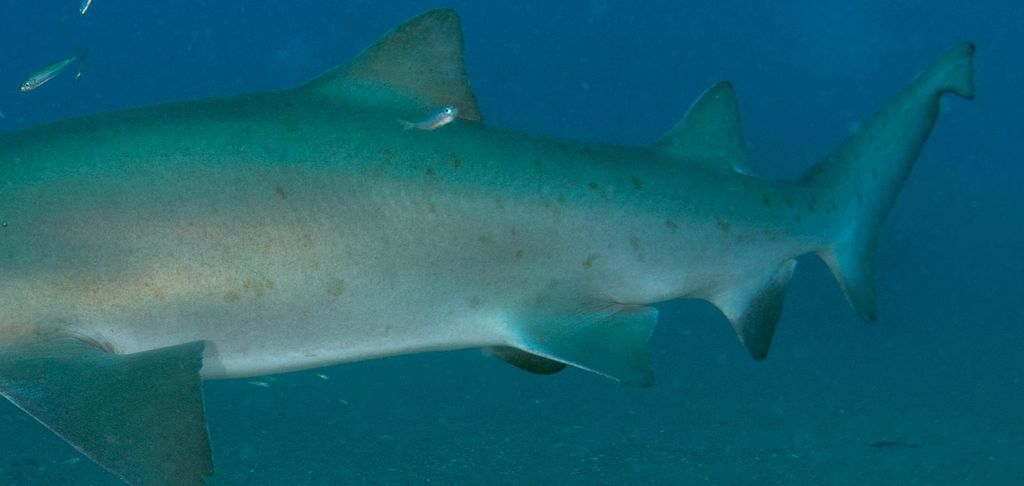 09235379-d59a-4c12-8155-569310eff2cd