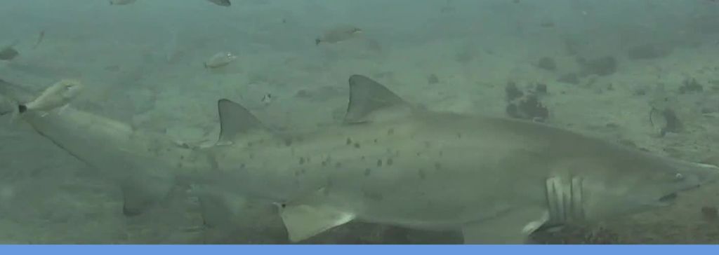 b9f72b22-5bbc-43e3-bf82-3b173922b477