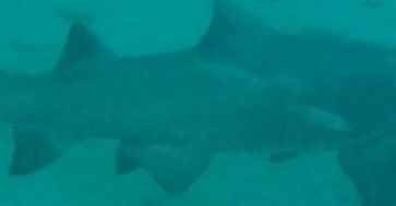 7e314f8e-0eb1-4883-beba-a5d484d808e2