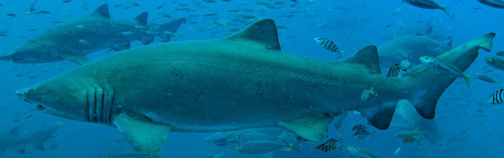 438650da-7732-4de9-8340-68a0037cf004