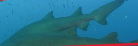 e66caf86-cdb7-459e-a9e1-70c0a5caad94