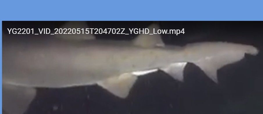 7923c73a-3e44-49b4-ab7b-47675b1c5753