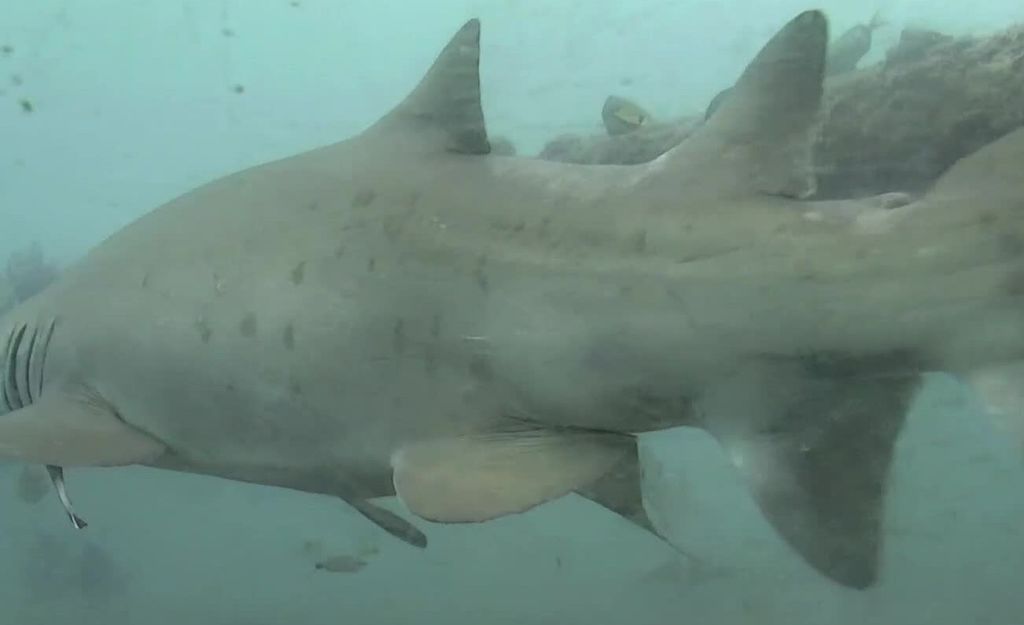 4505d97f-2818-4bc7-ac71-0e0745d06134