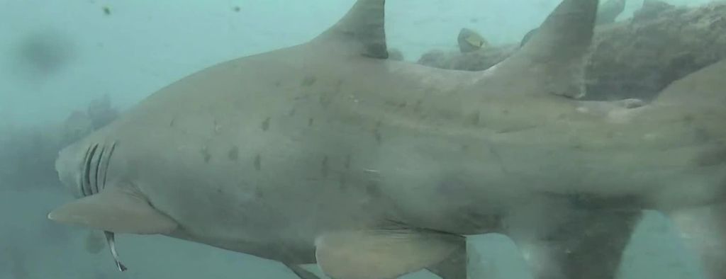 4505d97f-2818-4bc7-ac71-0e0745d06134