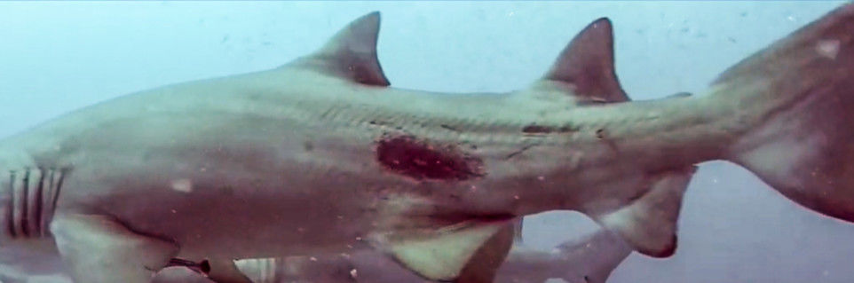 4e6a8fd8-6f7f-4b99-9028-00b495f57732