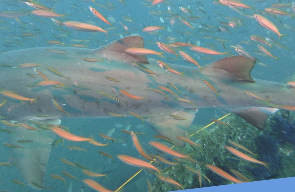 2643ce15-575b-42b7-8a3e-4082116cb0ab