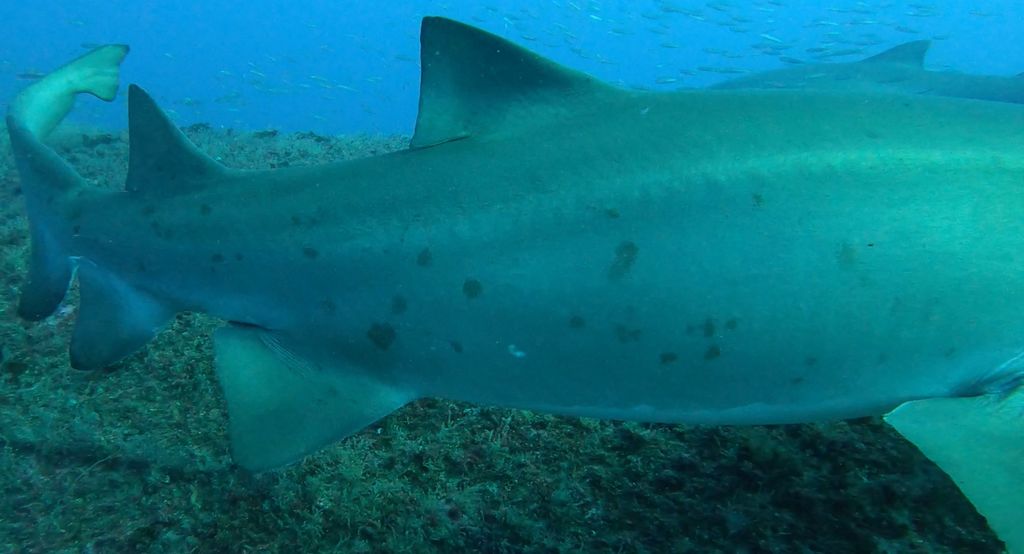 186b5b43-0c85-4f57-af4c-01109d56d6db